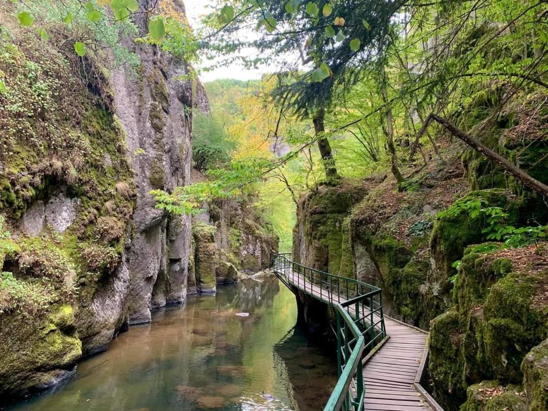 Къща Чолаков И Син - Стаи За Гости Devin Exterior photo